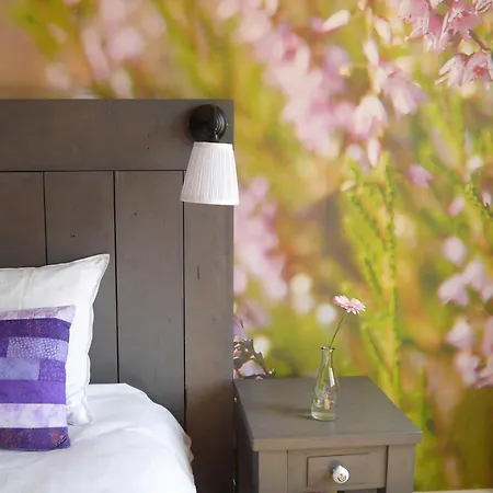 Bed & Breakfast Oranje Hoeve *