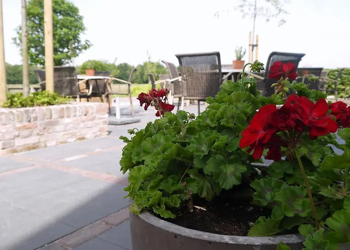 Nocleg ze śniadaniem Oranje Hoeve *